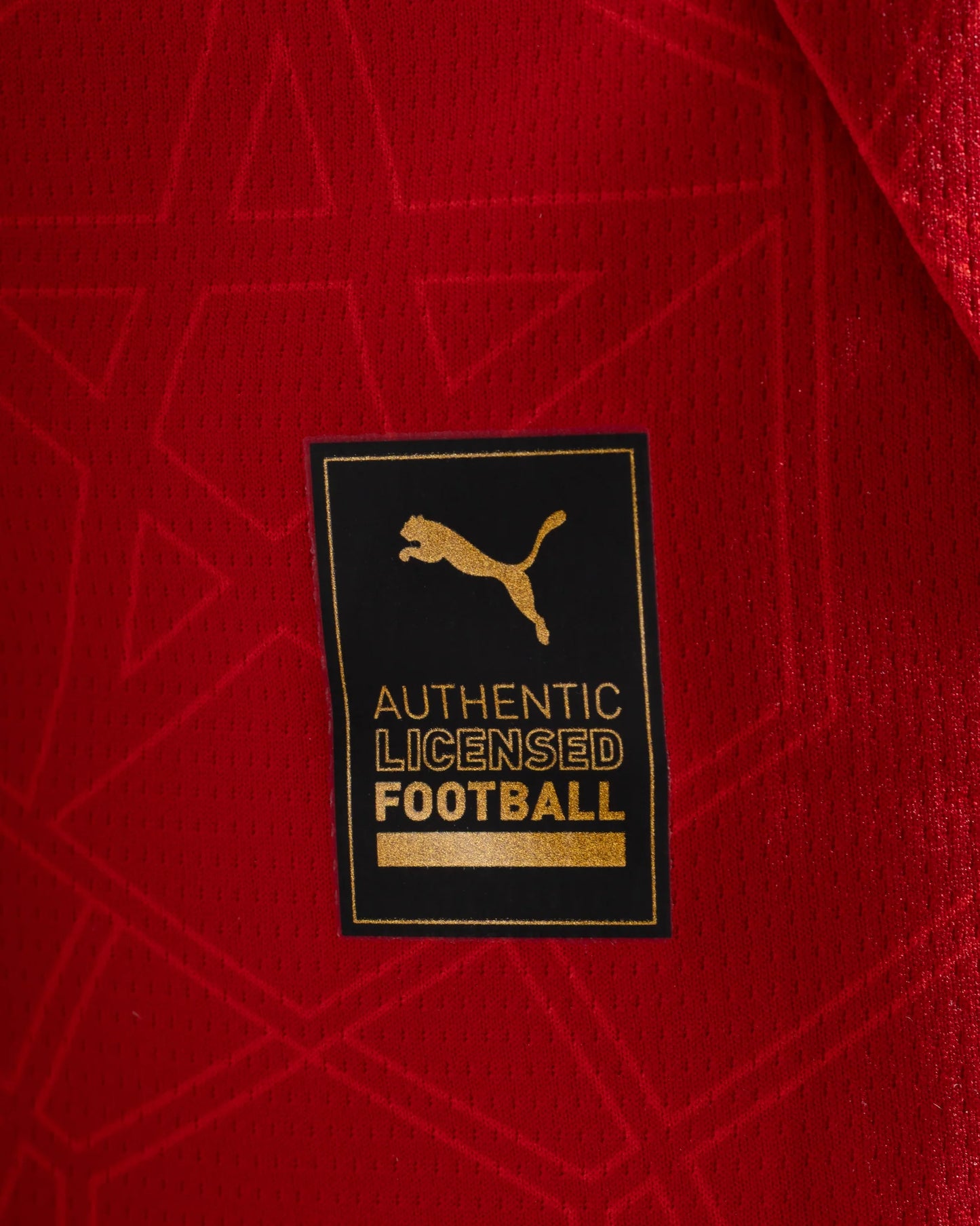 Maillot Maroc Domicile CAN 2025 – Confort Premium & Coupe Supporter