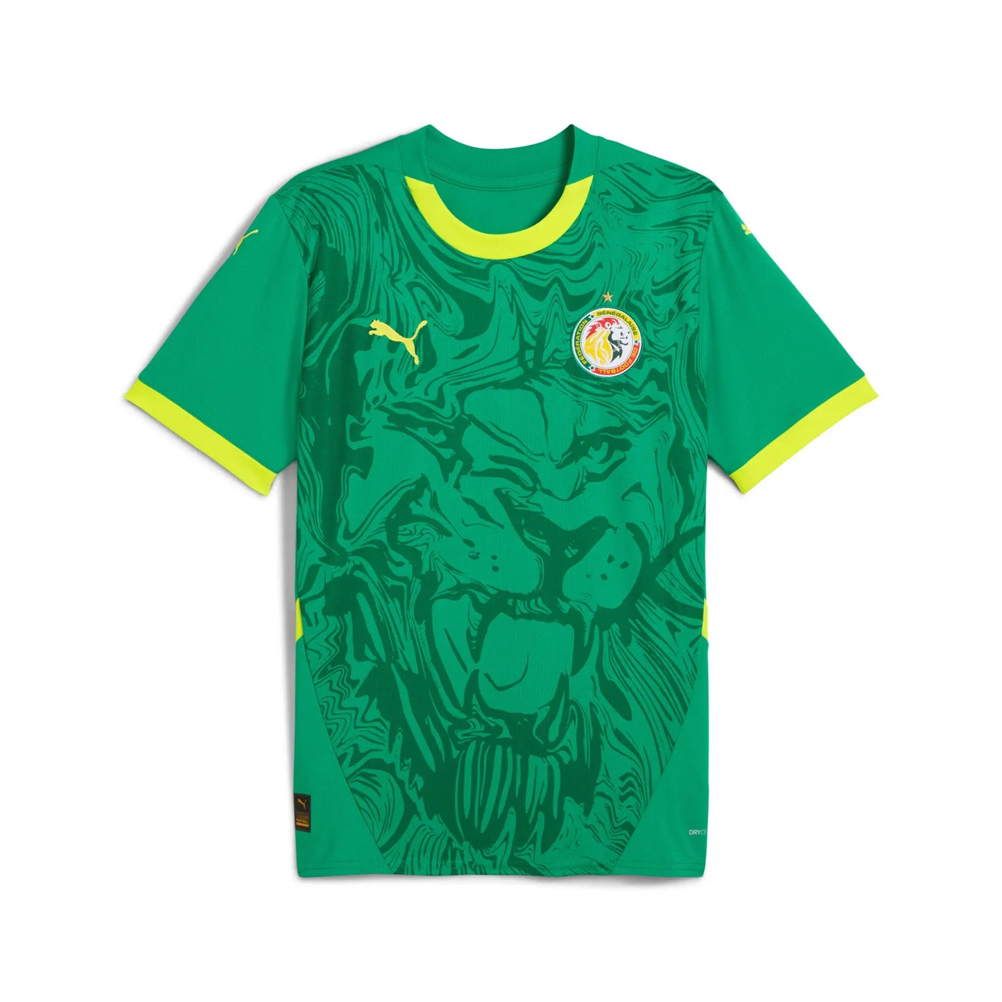 MAILLOT SENEGAL CAN 2025
